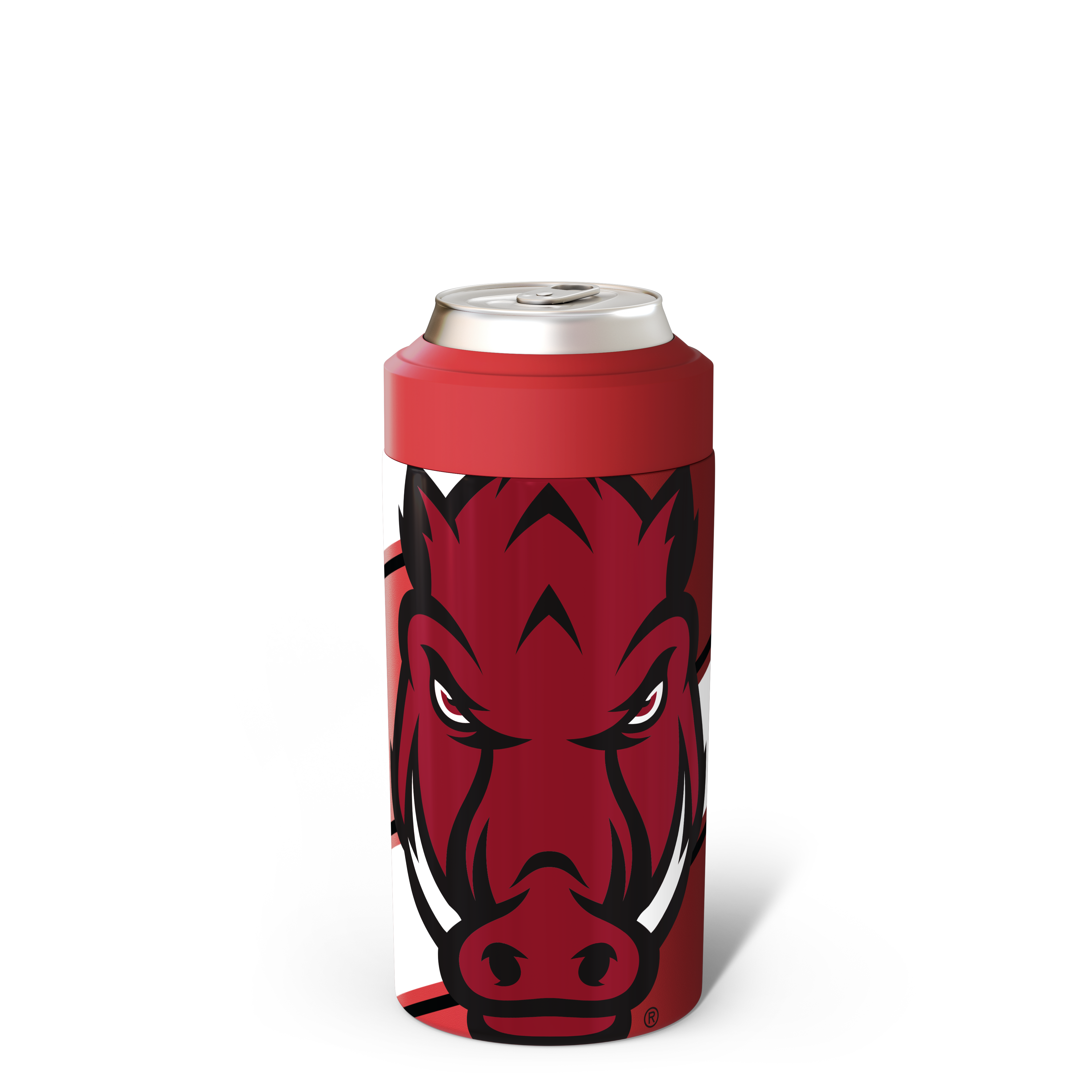 Arkansas Razorbacks Mascot
