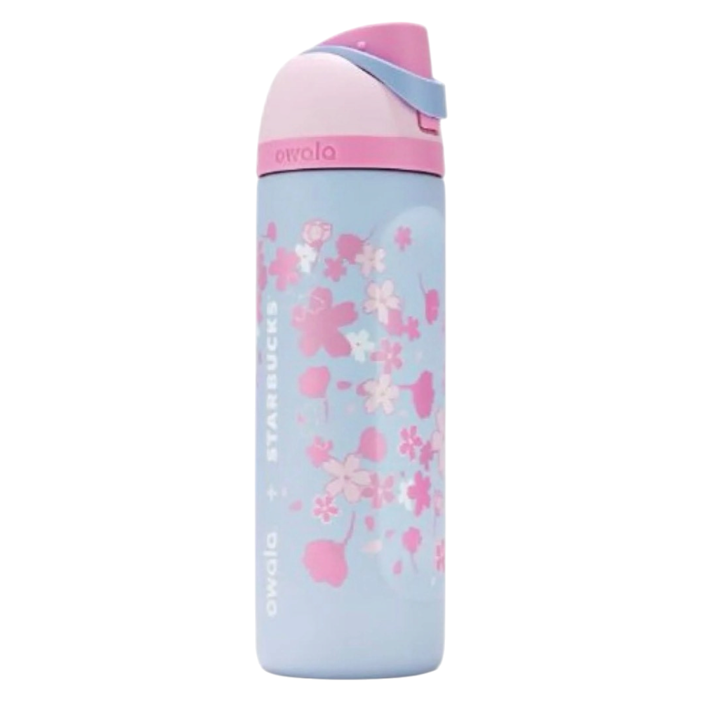 Spring Sakura